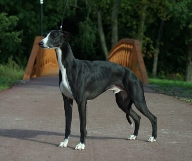 011e4d85-fce8-4de8-9072-aea6bb94cfa4